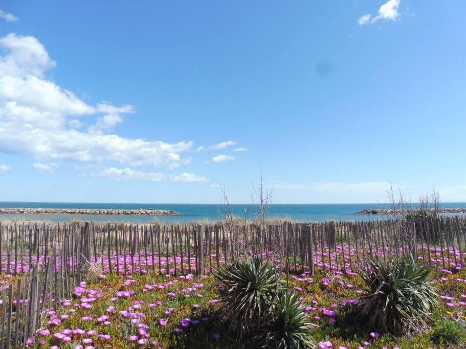 Le Petit Coin De Paradis. Valras-Plage Exteriér fotografie