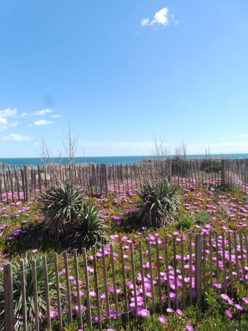 Le Petit Coin De Paradis. Valras-Plage Exteriér fotografie